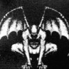 buttofly