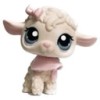user26618229