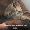 nurilyaaa