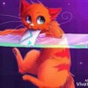 foxfoxet