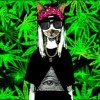 kikakoolima