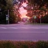morskoi-rak