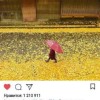 alinakachur2101
