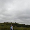 moleto