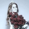 brooklyncarmen