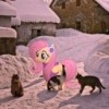 luna-34567