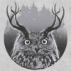 graylandowl