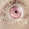 irievin