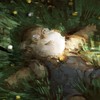 underbrush