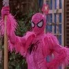 cool-spider