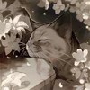 randomnyi-ziablik