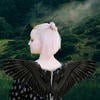 aeru-astal