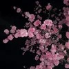 saomi-just-saomi