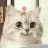 msredberry