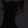 annafloris-09
