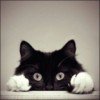 kat-love-kuzj