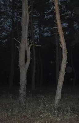 сон