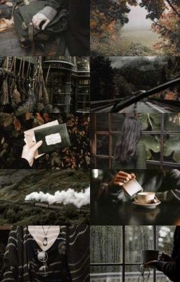 POTTERIANA