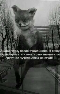 Мой сосед