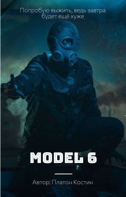 Model 6 