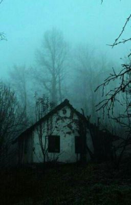 О фильмах