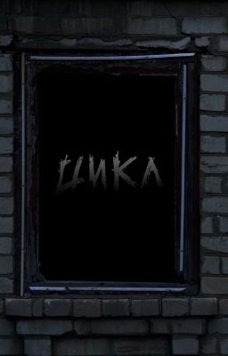 Цикл