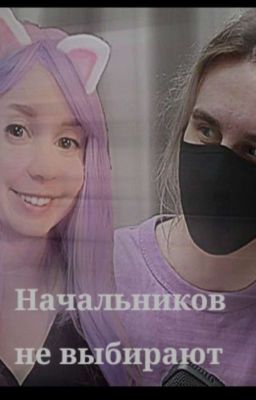 Начальников не выбирают 