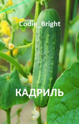 Кадриль