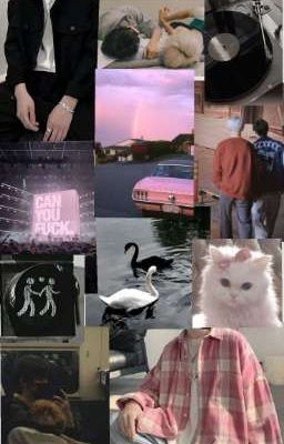 pink suits you 