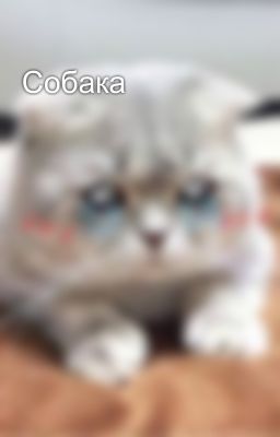 Собака