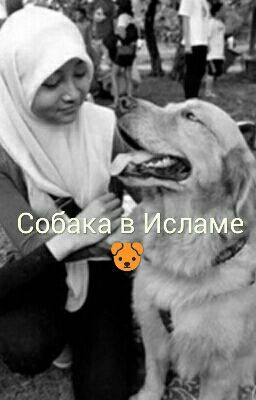 Собака в Исламе 
