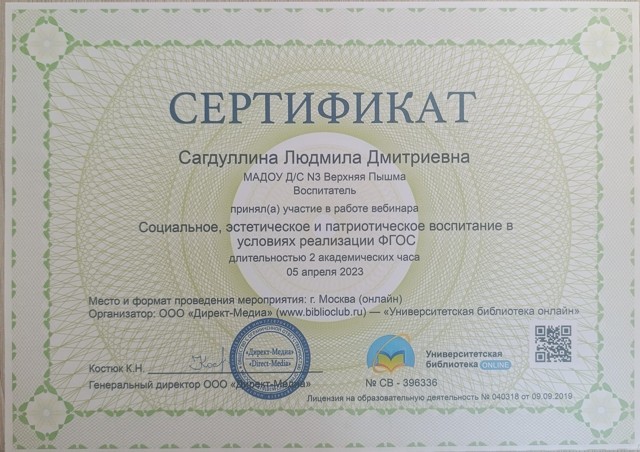 Социальное, эстетическое и патриотическое воспитание