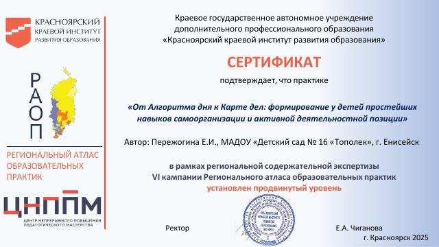 сертификат автора практики РАОП 2025.