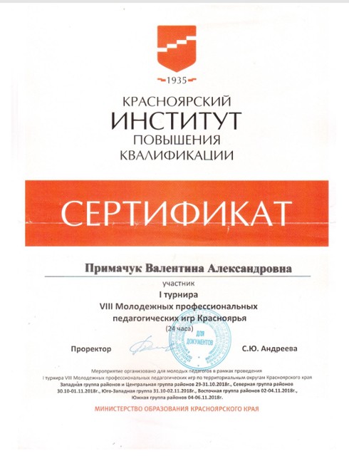Сертификат участника VIII Молодежных профессиональных игр Красноярья
