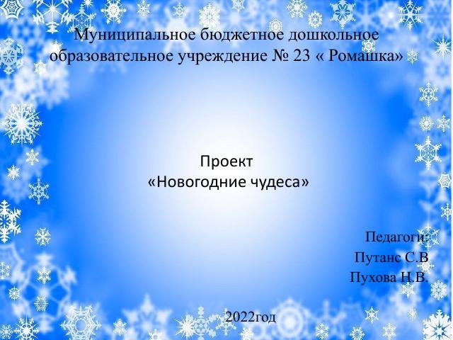 2022 год Проект Новогодние чудеса