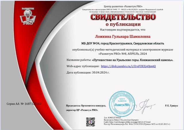 Развитиум Про