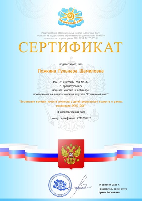 сертификат участие в вебенаре 1