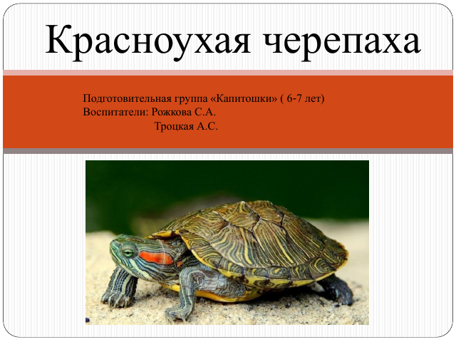 Проект "Красноухая Черепаха"