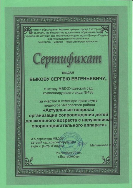 Семинар-практикум «Актуальные вопросы организации сопровождения детей дошкольного возраста с нарушениям опорно-двигательного аппарата»