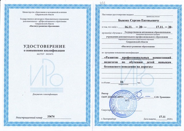 Развитие профессиональных компетенций
педагогов по обучению детей навыкам безопасного поведения на дорогах (16 часов)