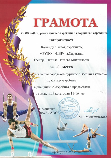 Открытый городской турнир "Весенняя капель", 2025 год, 2 место, "виват, аэробика"