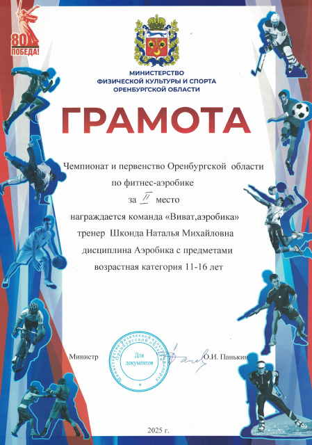 Чемпионат и первенство Оренбургской области, 28.02.2025 год 2 место "Виват, аэробика"