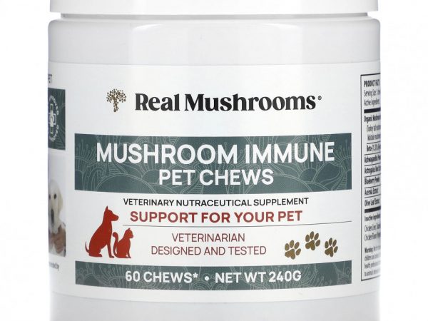 Real Mushrooms, Жевательные таблетки с грибным иммунитетом, поддержка вашего питомца, 60 жевательных таблеток (240 г)