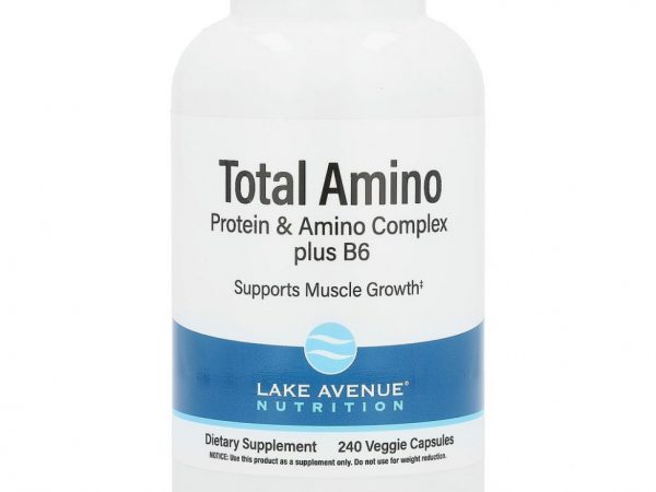 Lake Avenue Nutrition, аминокислоты, 240 растительных капсул
