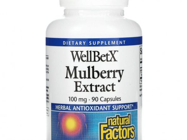 Natural Factors, WellBetX, экстракт шелковицы, 100 мг, 90 капсул