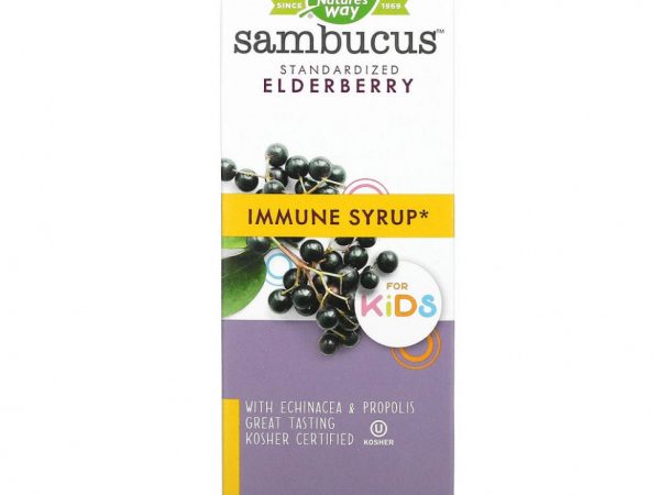 Nature's Way, Sambucus для детей, стандартизированный экстракт бузины, оригинальный сироп, 240 мл (8 жидк. унций)