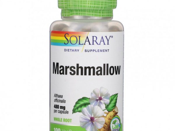 Solaray, Зефир, 480 мг, 100 растительных капсул