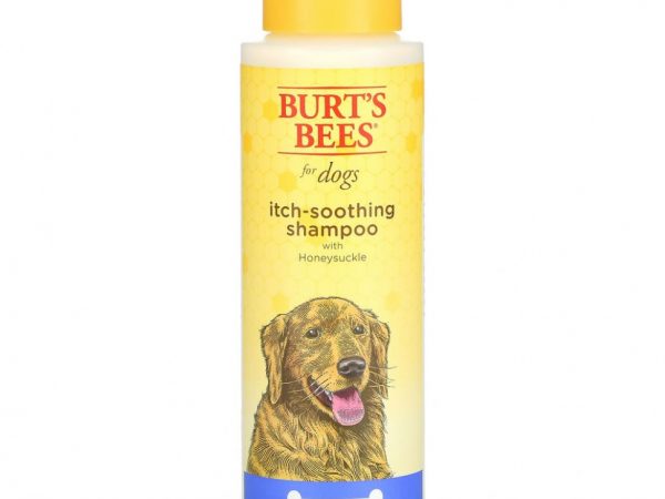 Burt's Bees, Успокаивающий зуд шампунь для собак с жимолостью, 16 жидких унций (473 мл)