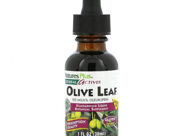 NaturesPlus, Herbal Actives, листья оливы, без спирта, 30 мл (1 жидк. унция)