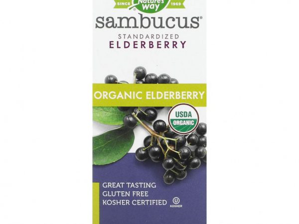 Nature's Way, Sambucus, стандартизированный экстракт бузины, органический сироп, 120 мл (4 жидк. унции)